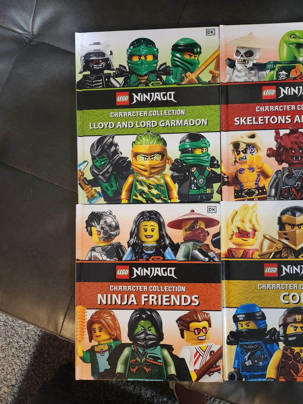 6 LEGO NINJAGO Character Collection - Multi-Color Book Set